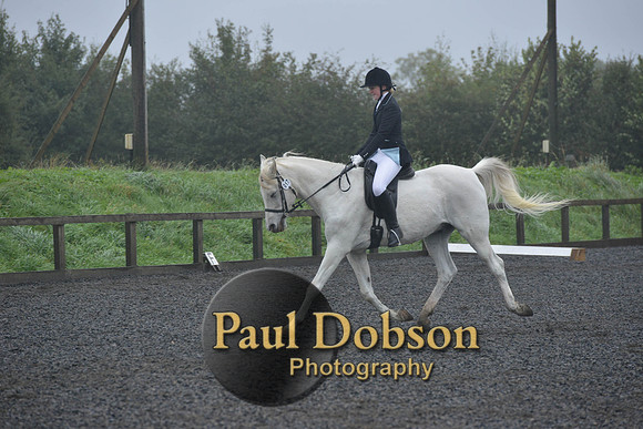 dressage-6504