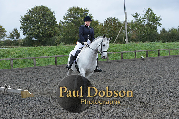 dressage-5950