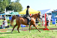 c48_1022
