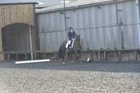 dressage-6860