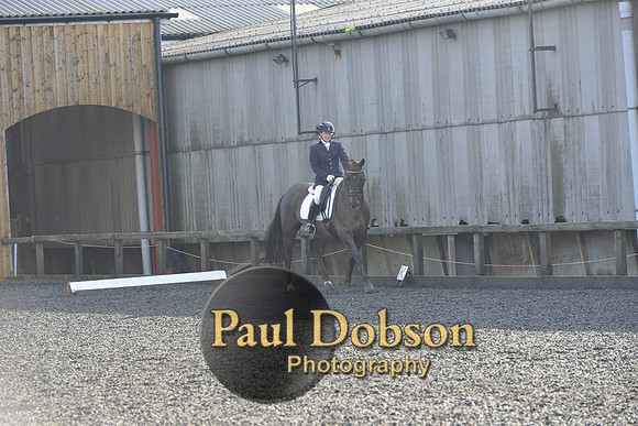 dressage-6860
