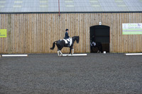 dressage-7246