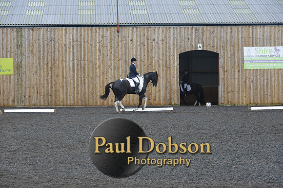 dressage-7246
