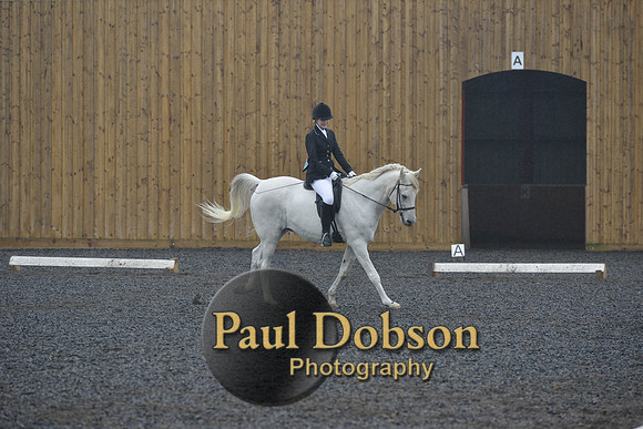dressage-6480