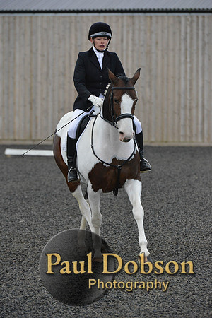 dressage-5926