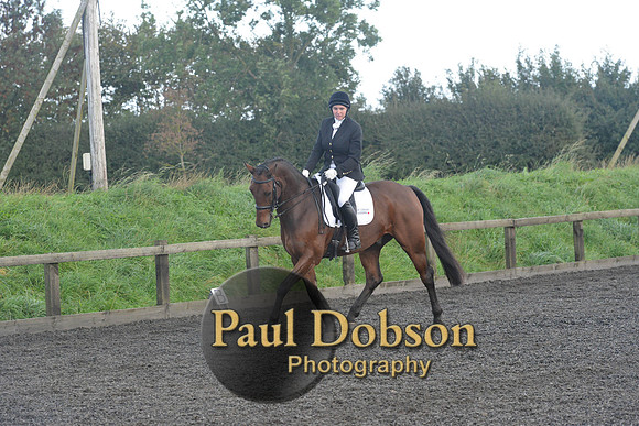 dressage-7314