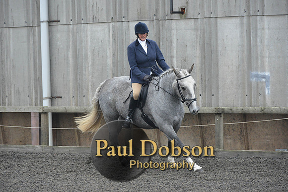 dressage-4912