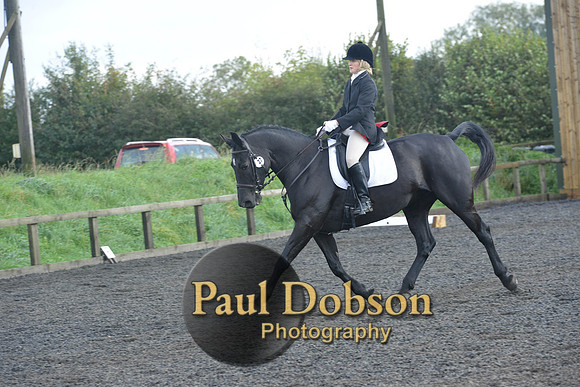 dressage-6882