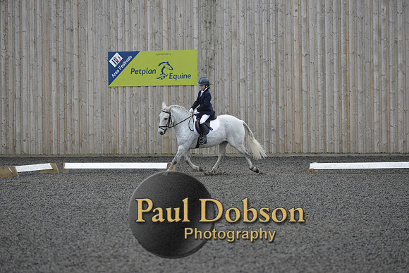 dressage-5983