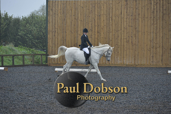 dressage-6479