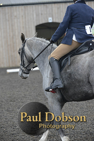 dressage-4904