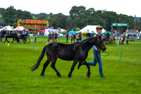DSC_6541