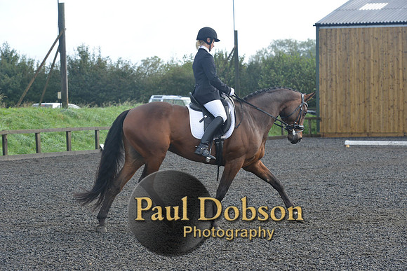 dressage-6814