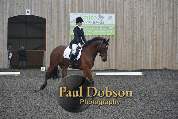 dressage-4932