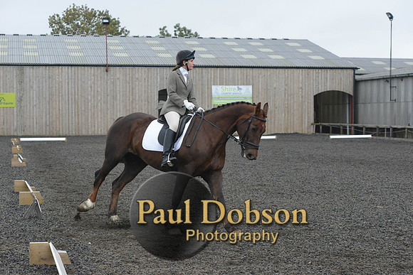dressage-4889
