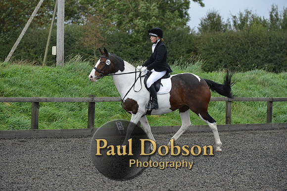 dressage-5937