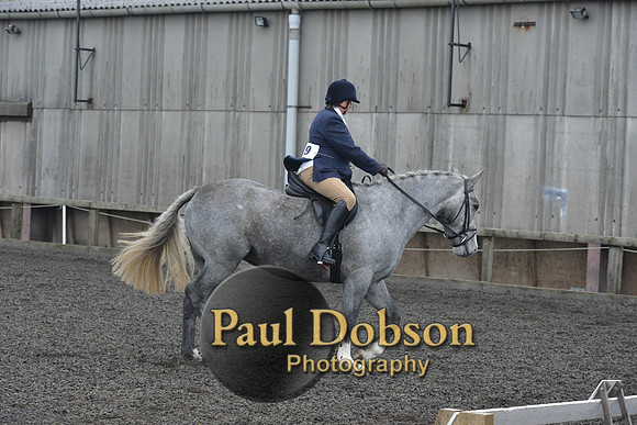 dressage-4896