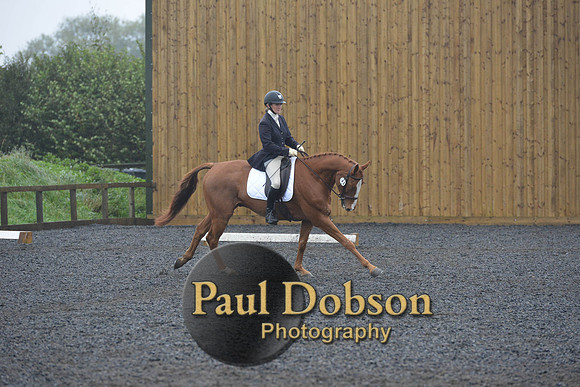 dressage-6626