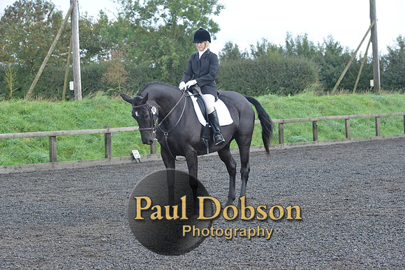 dressage-6886