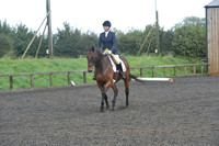 dressage-7252