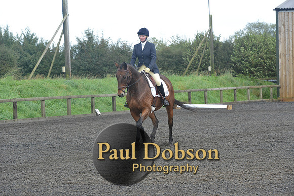 dressage-7252
