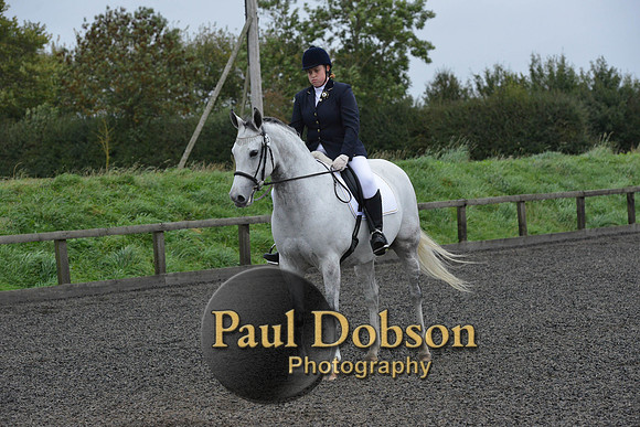 dressage-5975