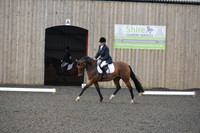 dressage-4105