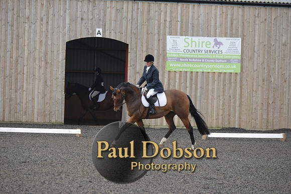 dressage-4105