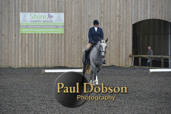 dressage-4922