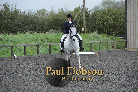 dressage-5953