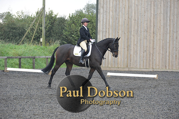 dressage-5163