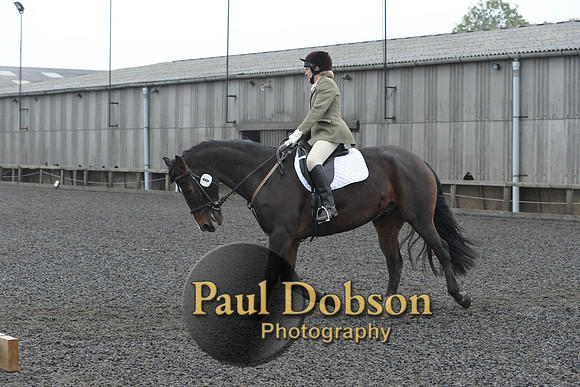 dressage-6302