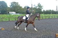 dressage-6758