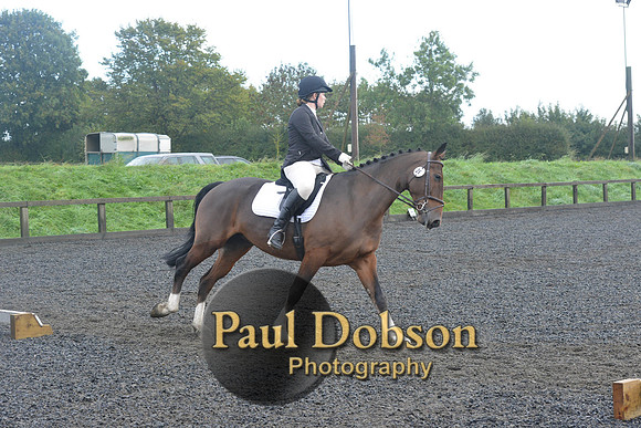 dressage-6758