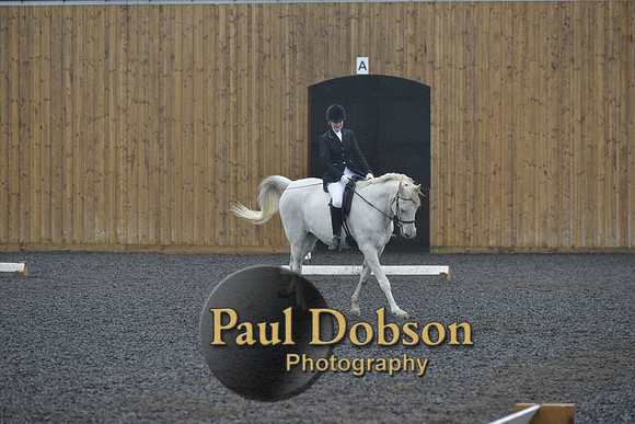 dressage-6481