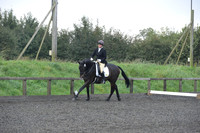 dressage-5168