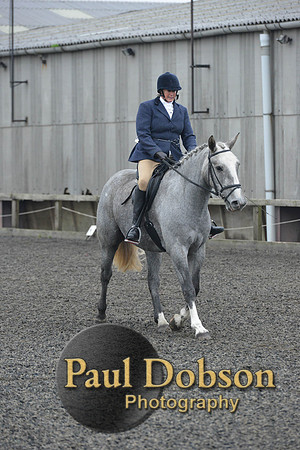 dressage-4924