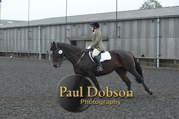 dressage-6300