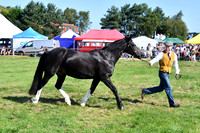 c11_1289