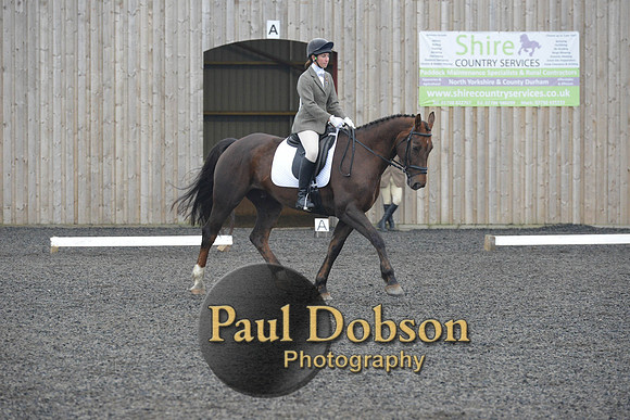 dressage-4870