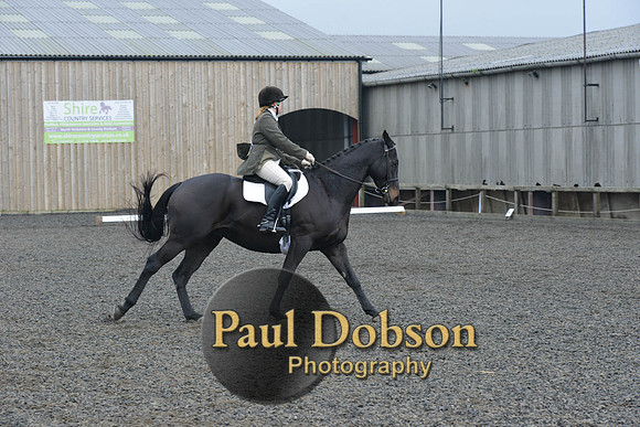 dressage-5476