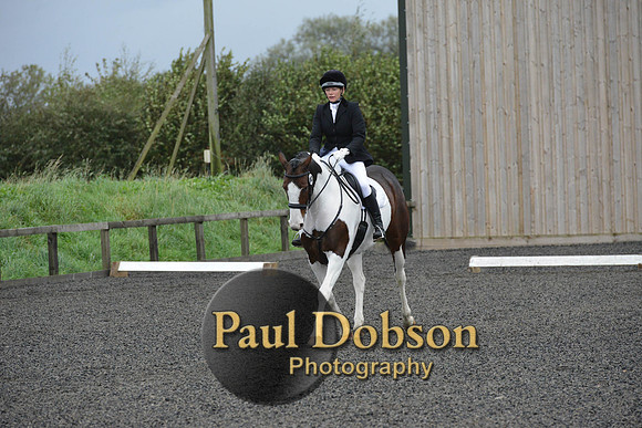 dressage-5944
