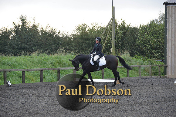 dressage-4510