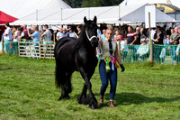 GRP_8022