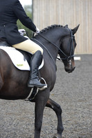 dressage-5165