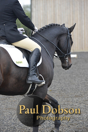 dressage-5165