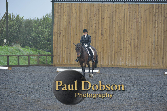 dressage-6469