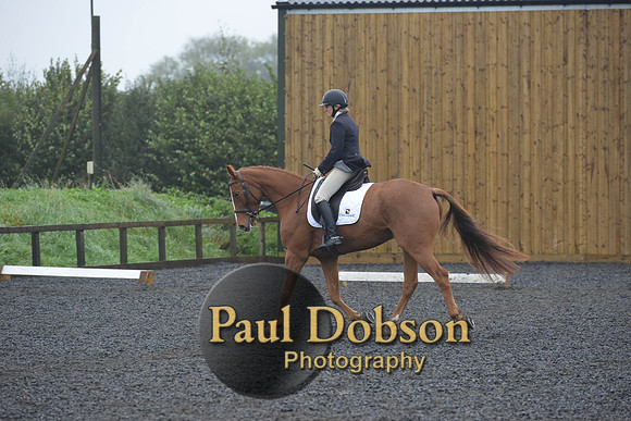dressage-6622
