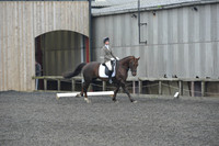dressage-4877