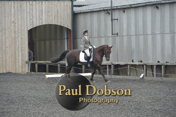 dressage-4877